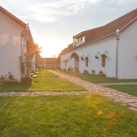 Pensiunea Casa Canda Salasu de Sus Ngoại thất bức ảnh