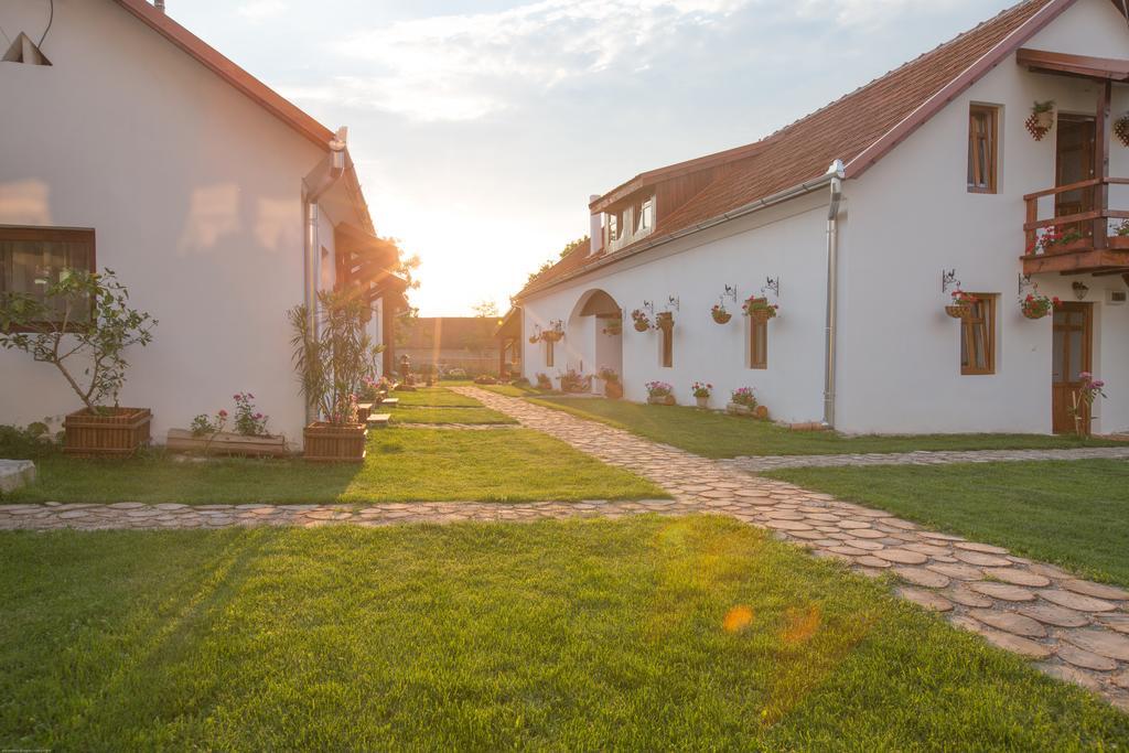 Pensiunea Casa Canda Salasu de Sus Ngoại thất bức ảnh