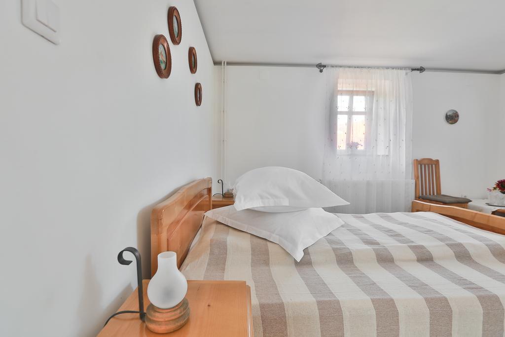Pensiunea Casa Canda Salasu de Sus Phòng bức ảnh